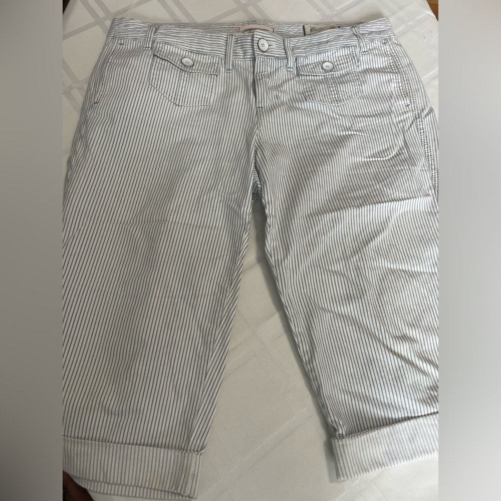 GAP Bermuda shorts pin stripe
